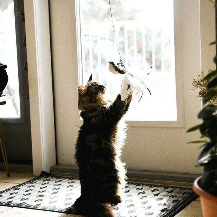 Interaktiv Kattleksak - Fluttervänner