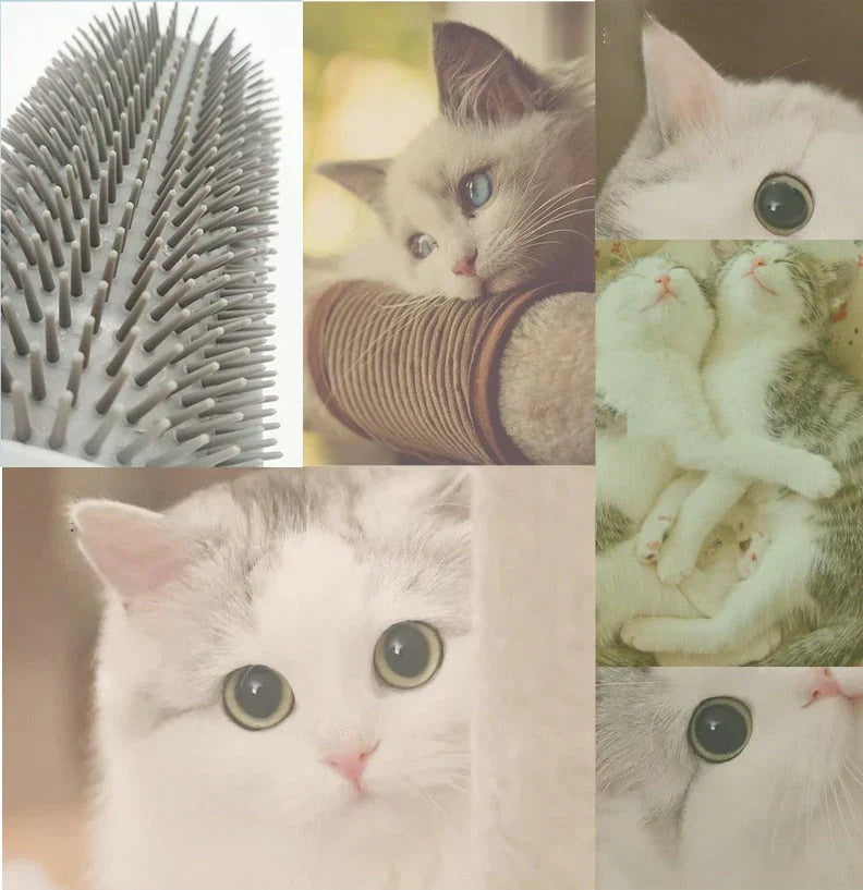 Selvpleje Børste til Katte - KløeKram