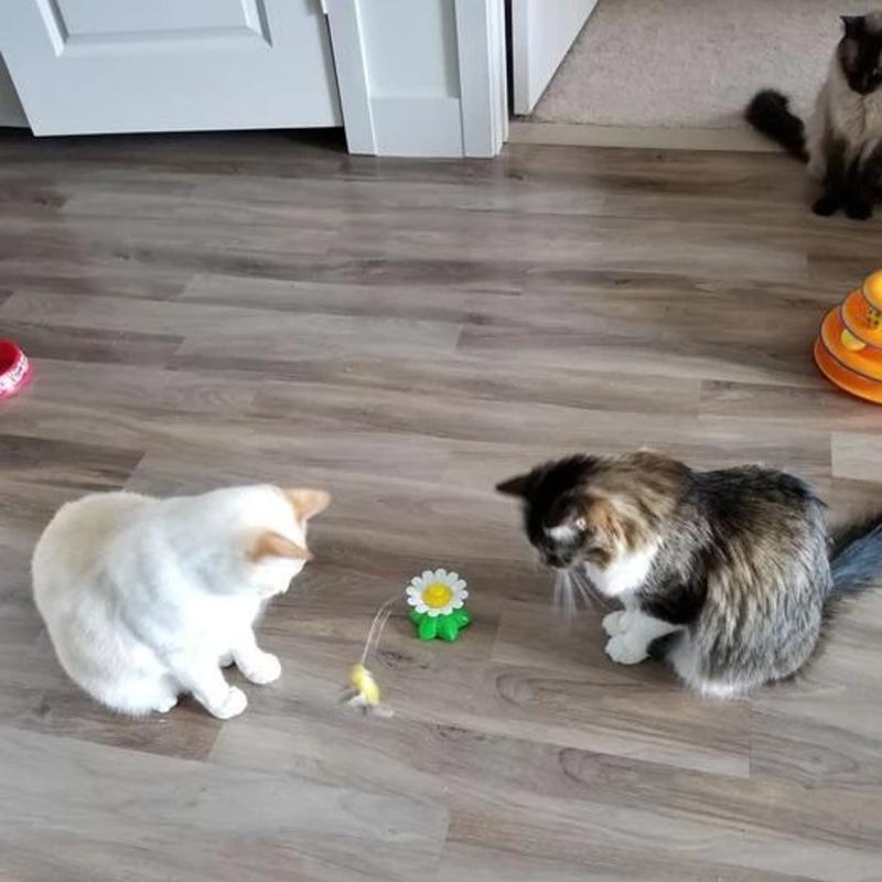 Interaktivt kattelegetøj – Purrfect Leg