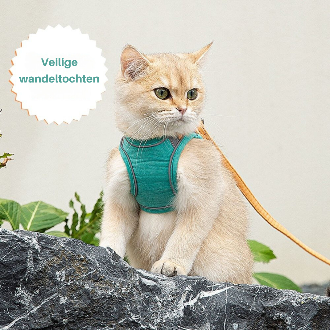 Kattsele – Justerbar och Bekväm