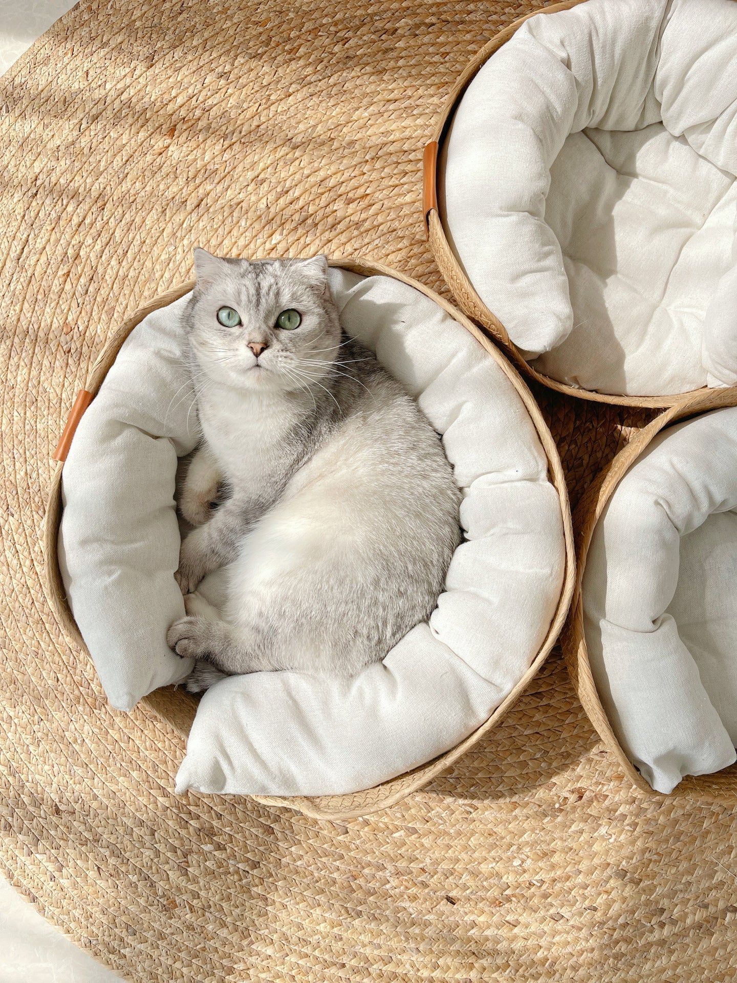Handgjord och bekväm kattsäng – LuxeSnooze