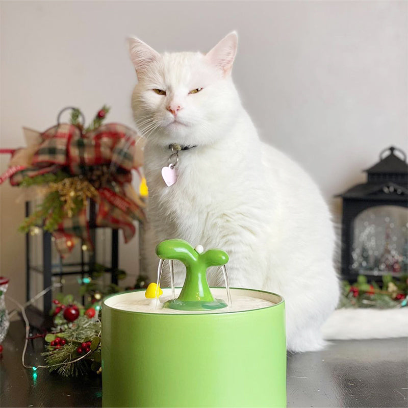 Vandfontæne til katte – SpringFlow