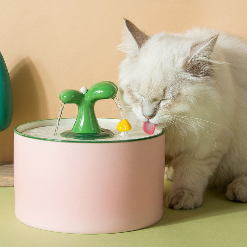 Vandfontæne til katte – SpringFlow