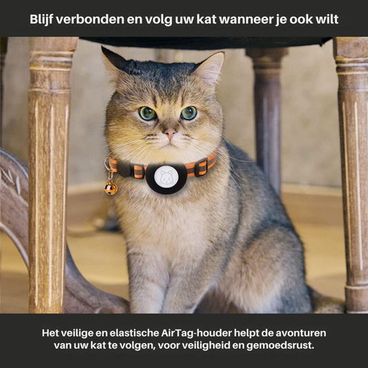 Säkerhetslina för katt med lås
