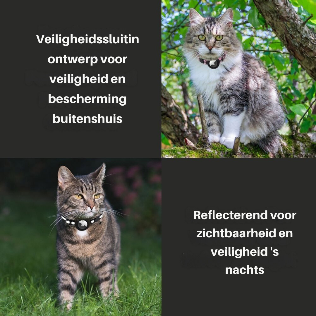 Säkerhetslina för katt med lås