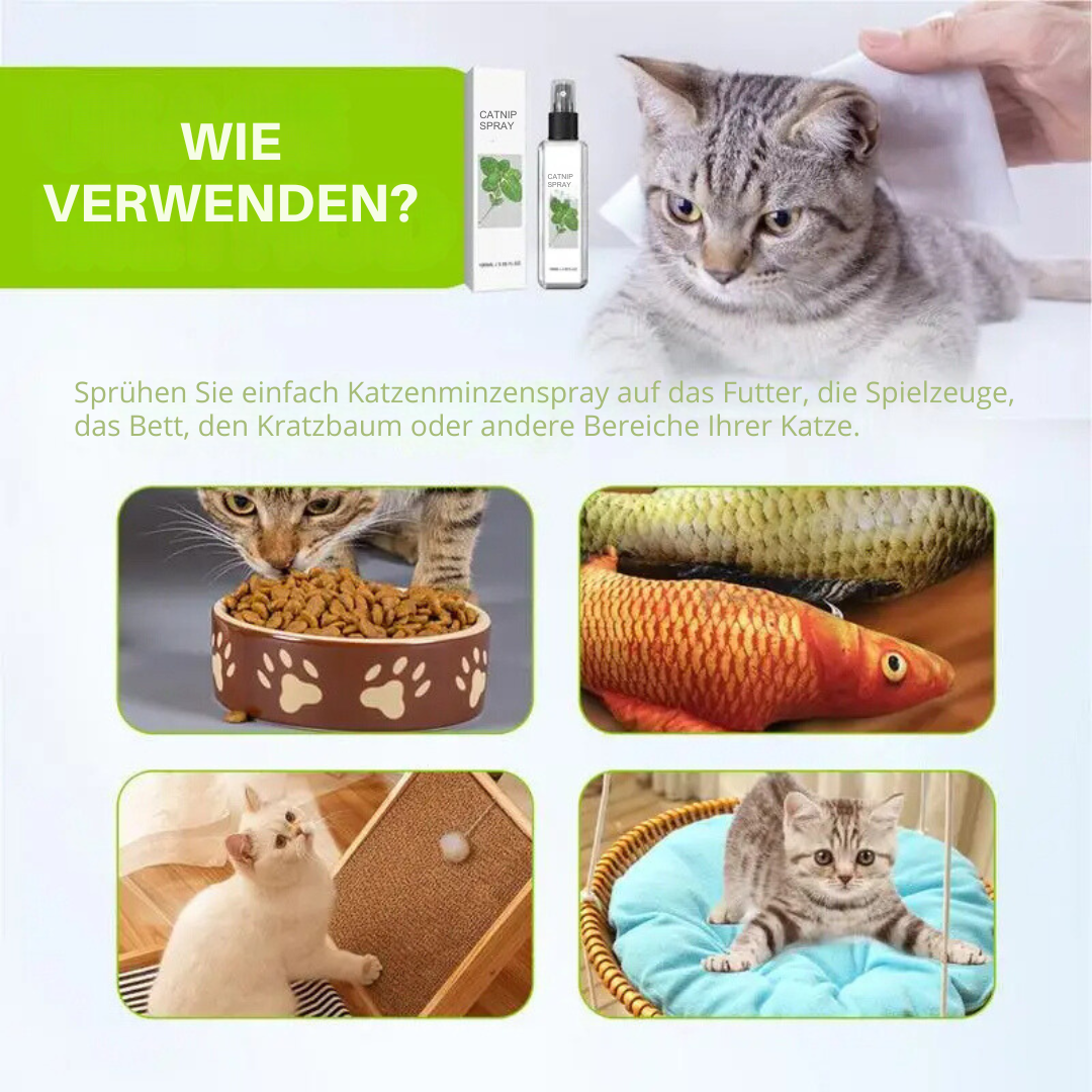Beroligende Spray til Katte - Blissful Vine Mist