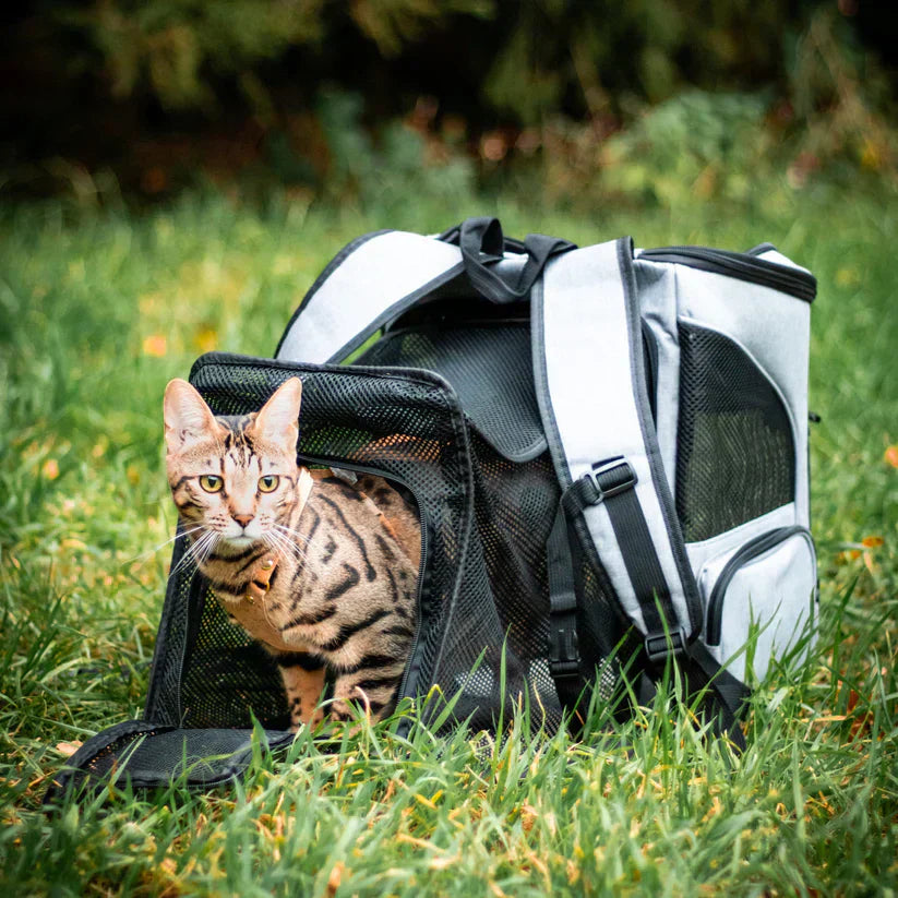 Kattväskor - FurVoyager