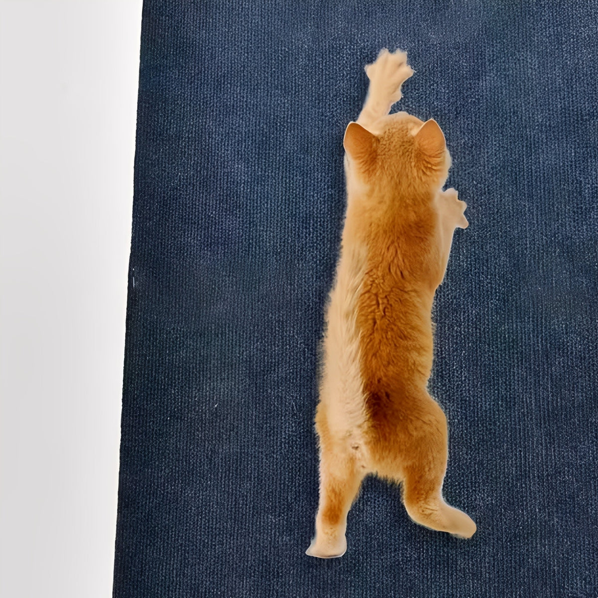 Självhäftande kattklösmatta för skydd av möbler