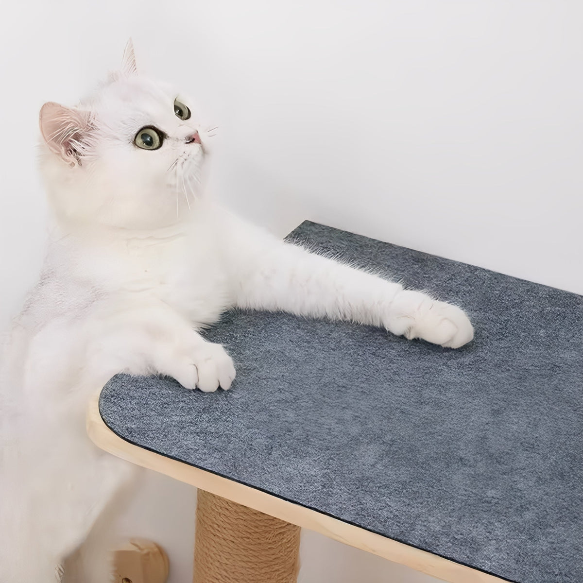 Självhäftande kattklösmatta för skydd av möbler