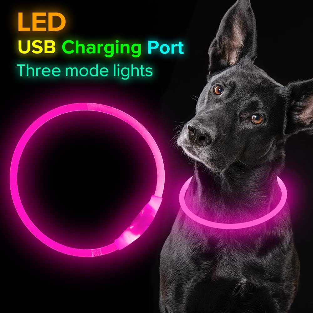 GlowSafe LED Hundhalsband – Uppladdningsbart USB Säkerhetsljus
