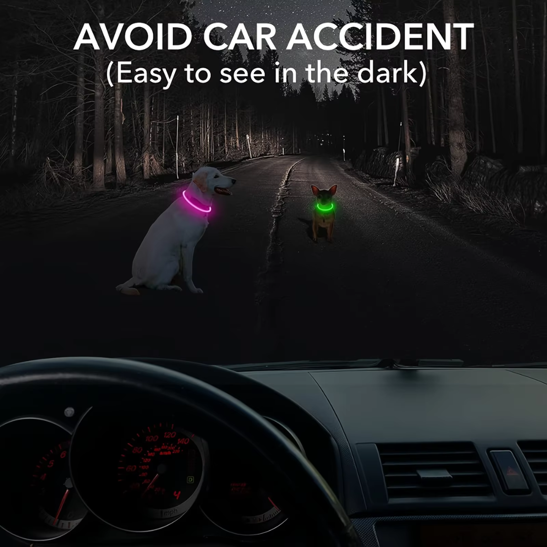 GlowSafe LED Hundhalsband – Uppladdningsbart USB Säkerhetsljus
