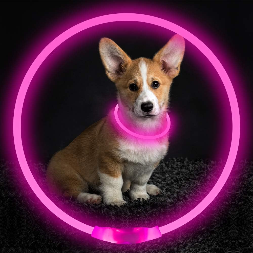 GlowSafe LED Hundhalsband – Uppladdningsbart USB Säkerhetsljus