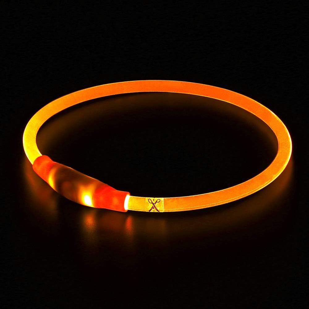 GlowSafe LED Hundhalsband – Uppladdningsbart USB Säkerhetsljus