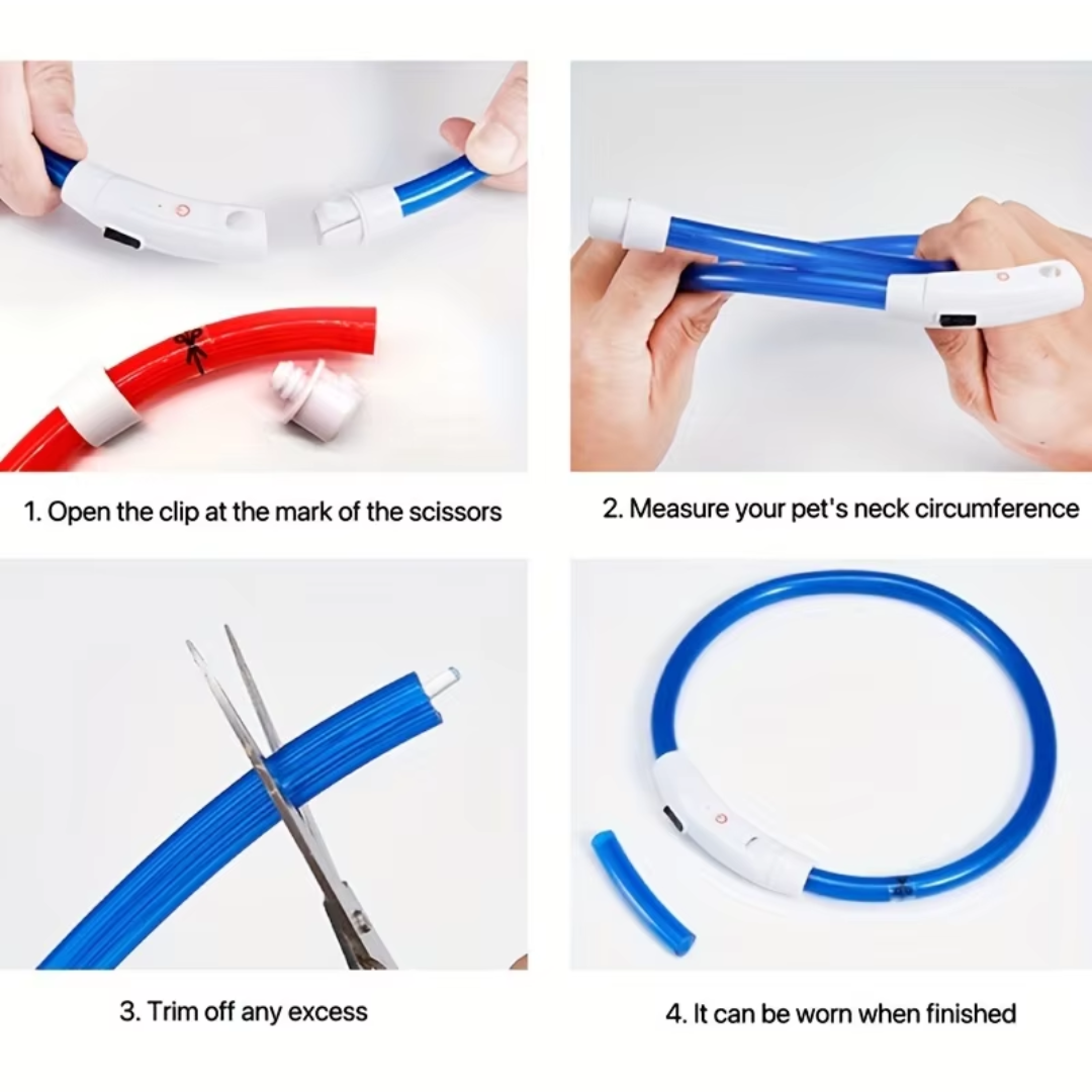GlowSafe LED Hundhalsband – Uppladdningsbart USB Säkerhetsljus