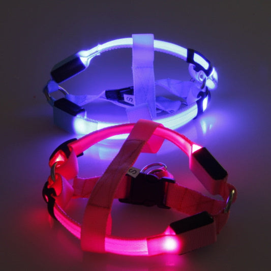 Hundesele med LED-ljus - Glow & Go