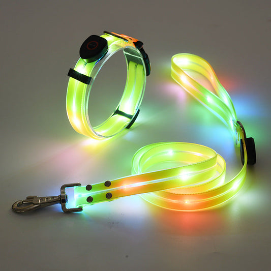Hundhalsband med LED-lampa och koppel - NightBright