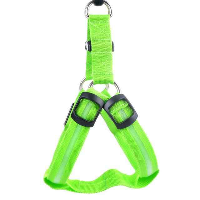 Hundesele med LED-lys - Glow & Go