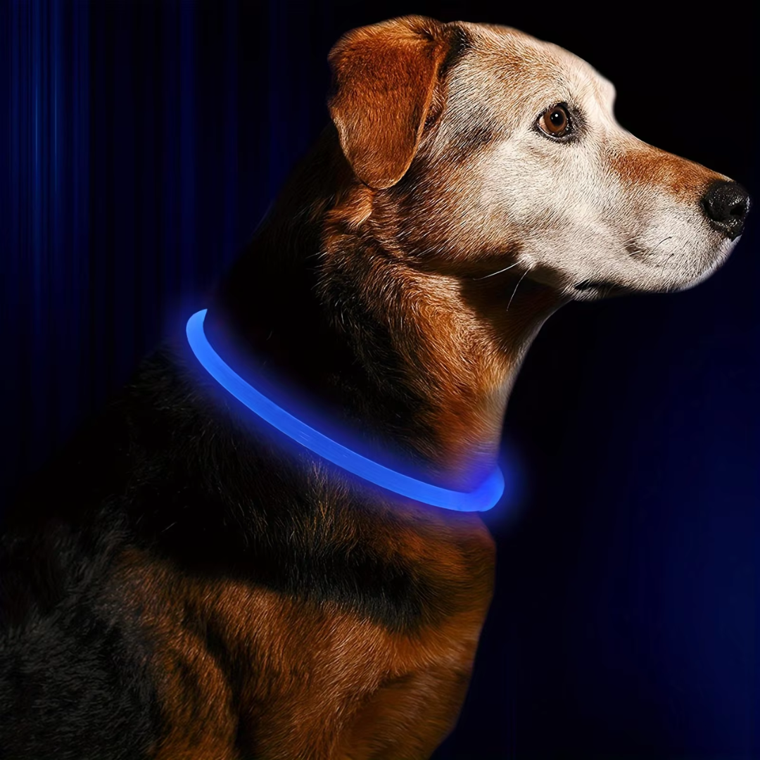 GlowSafe LED Hundhalsband – Uppladdningsbart USB Säkerhetsljus