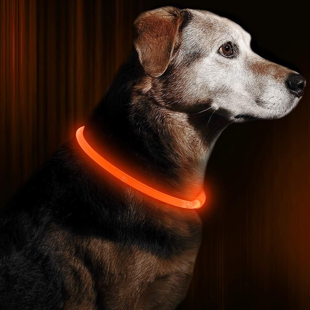 GlowSafe LED Hundhalsband – Uppladdningsbart USB Säkerhetsljus
