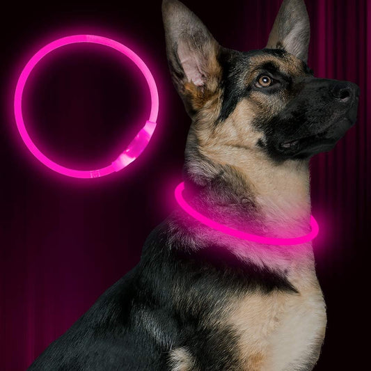 GlowSafe LED Hundhalsband – Uppladdningsbart USB Säkerhetsljus