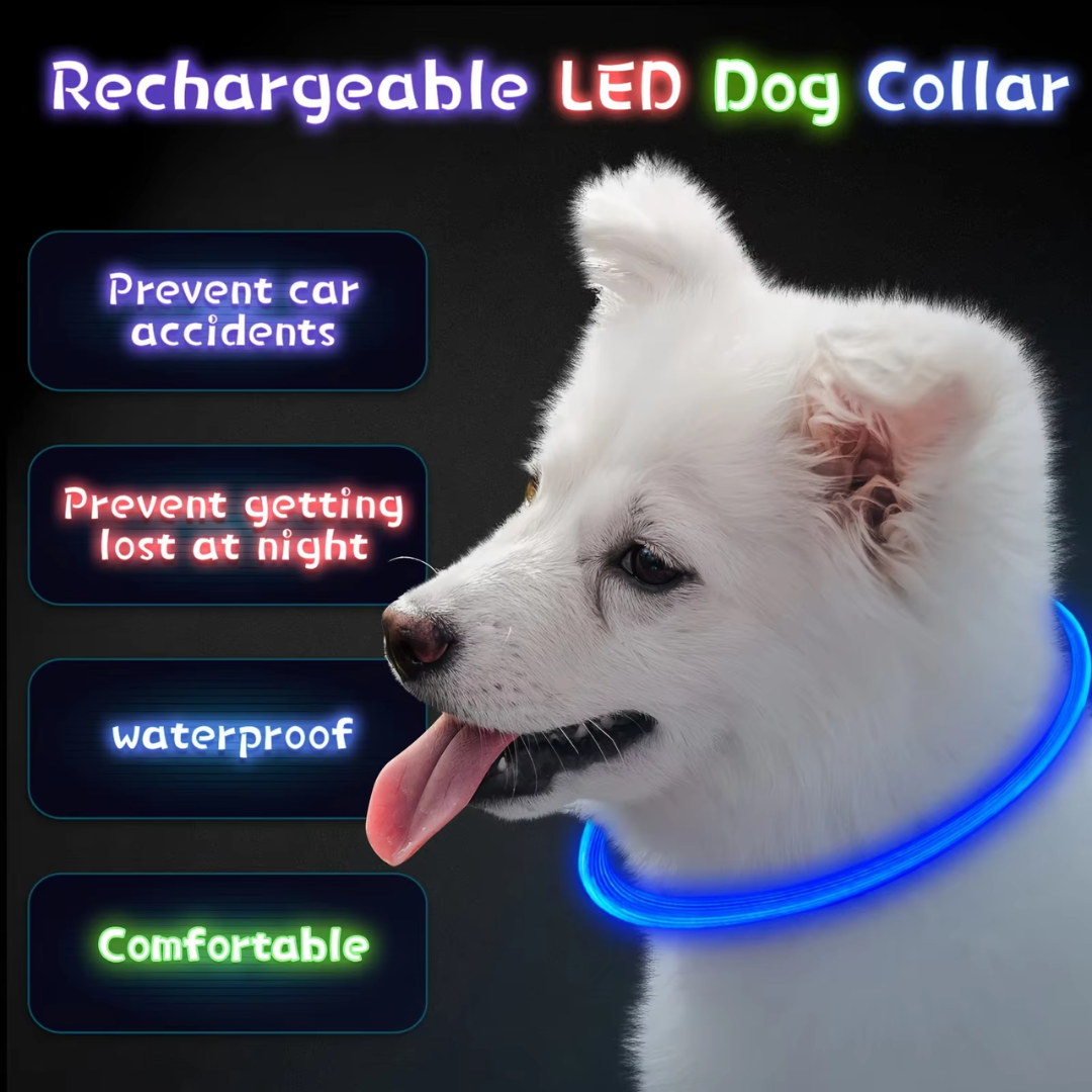 GlowSafe LED Hundhalsband – Uppladdningsbart USB Säkerhetsljus