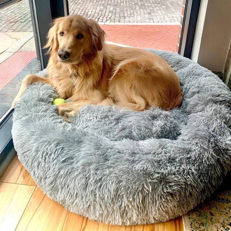 Komfortabel Ortopædisk Hundeseng med Memory Skum og Plys