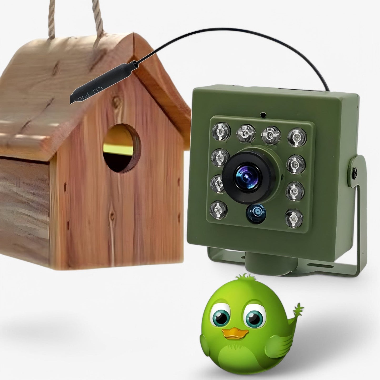 WLAN-kamera – 1080p HD, väderbeständig för fågelobservation