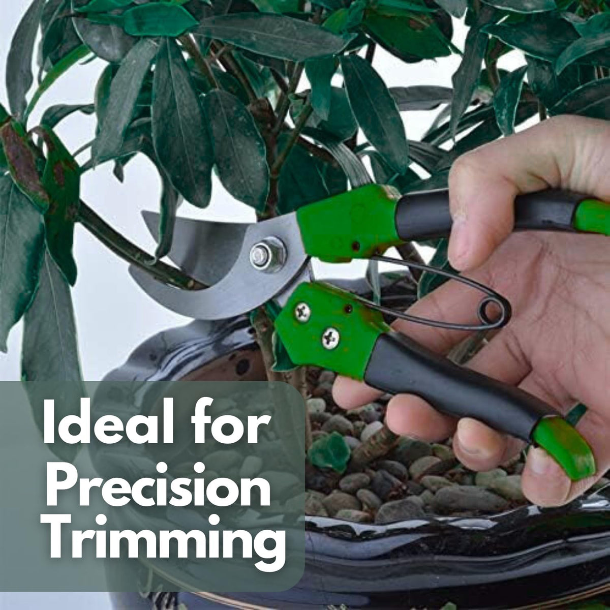 Precisionshäcksax i kolstål med mjukt handtag – Non-stick-blad för blommor, buskar och grenar
