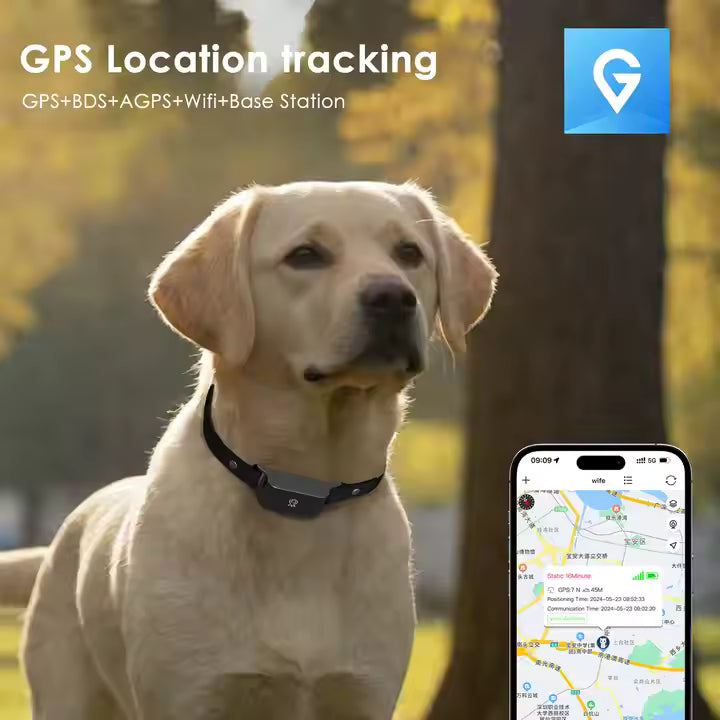 Vattentätt GPS-halsband för hundar och katter