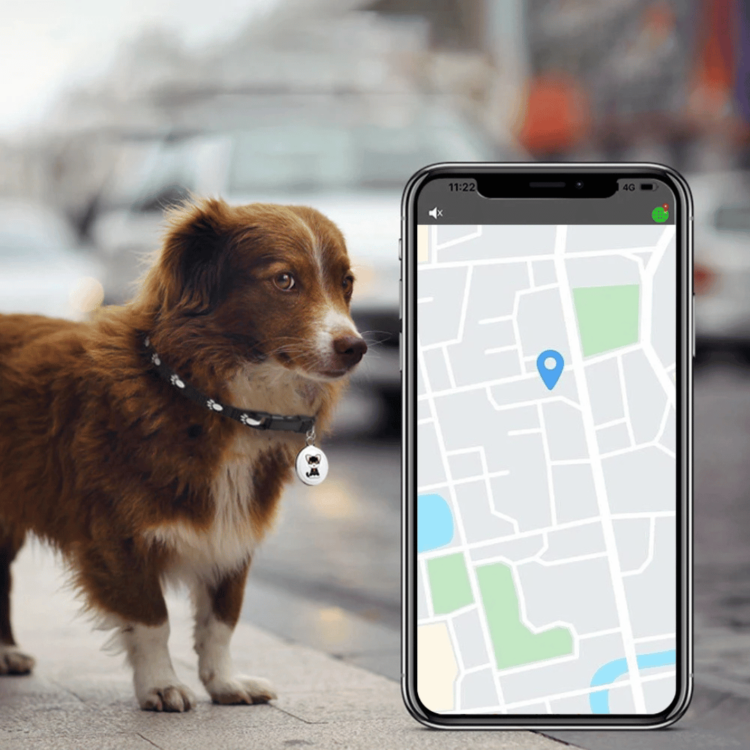 Intelligent GPS Tracker til Dyr – Ideel til Hunde og Katte