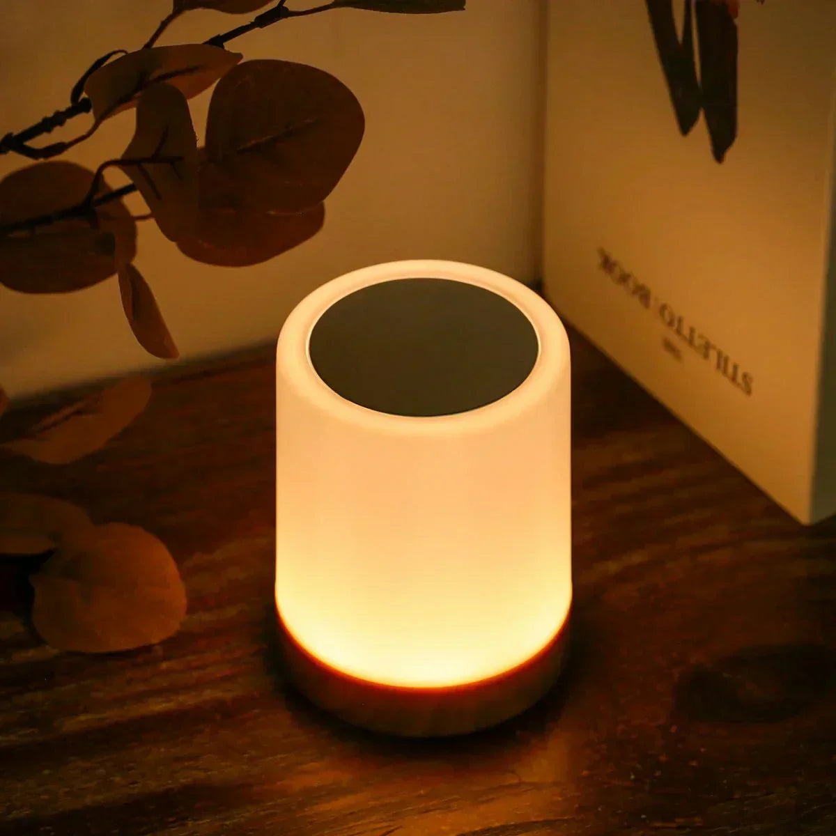 Stilfuld LED Bordlampe med Touch og Justerbar Lysstyrke