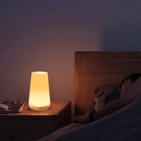 Stilfuld LED Bordlampe med Touch og Justerbar Lysstyrke