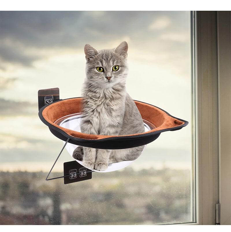 Vinduesskabt Kattelynlodde
