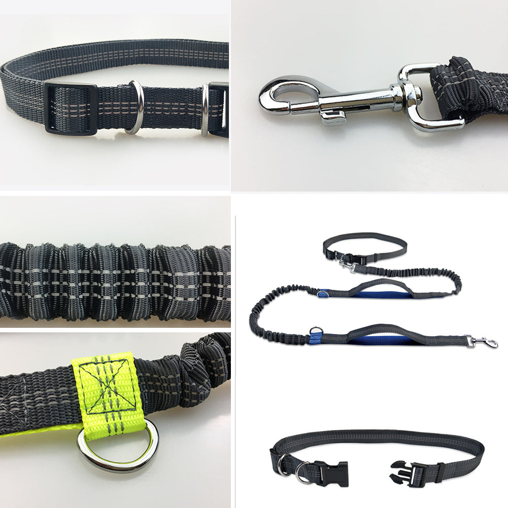 Håndfri elastisk talje hundesnor