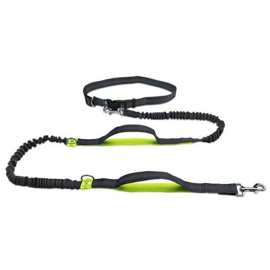 Håndfri elastisk talje hundesnor