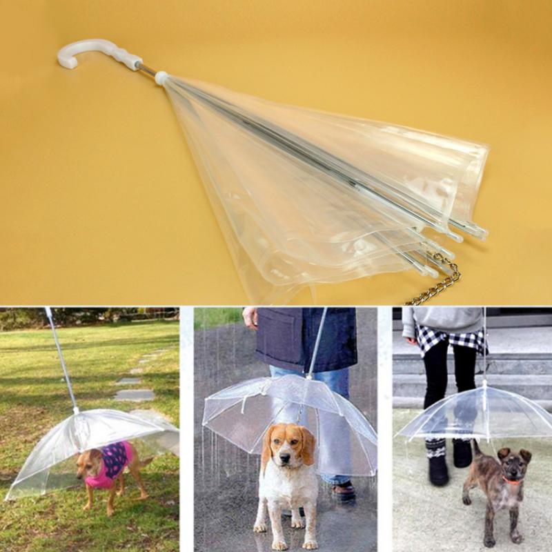 Kreativ Pet Walking Transparent Paraply