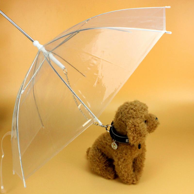 Kreativ Pet Walking Transparent Paraply