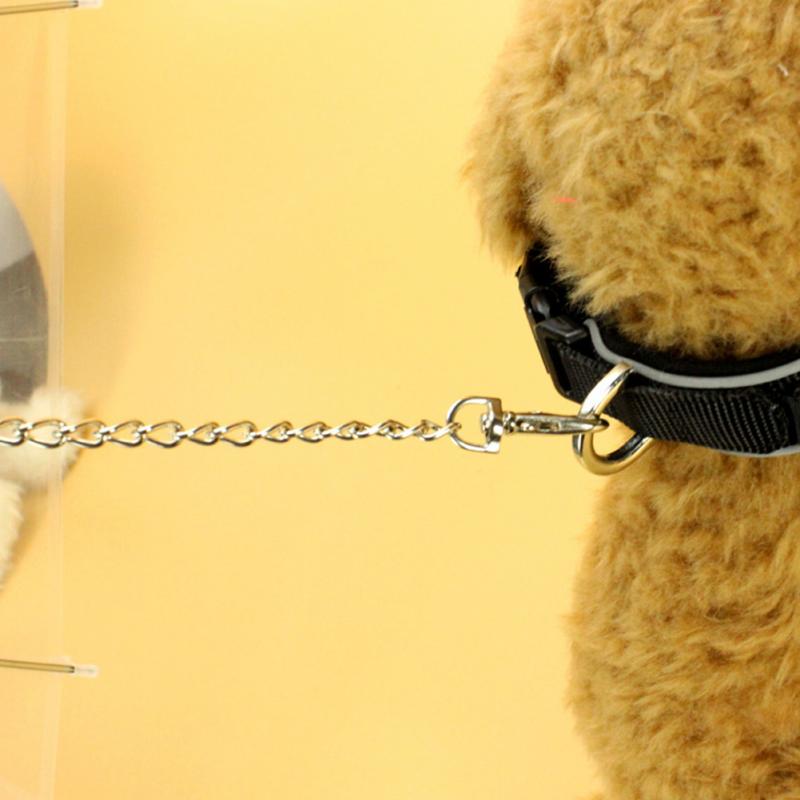 Kreativ Pet Walking Transparent Paraply