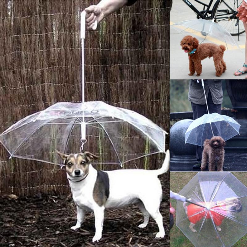 Kreativ Pet Walking Transparent Paraply
