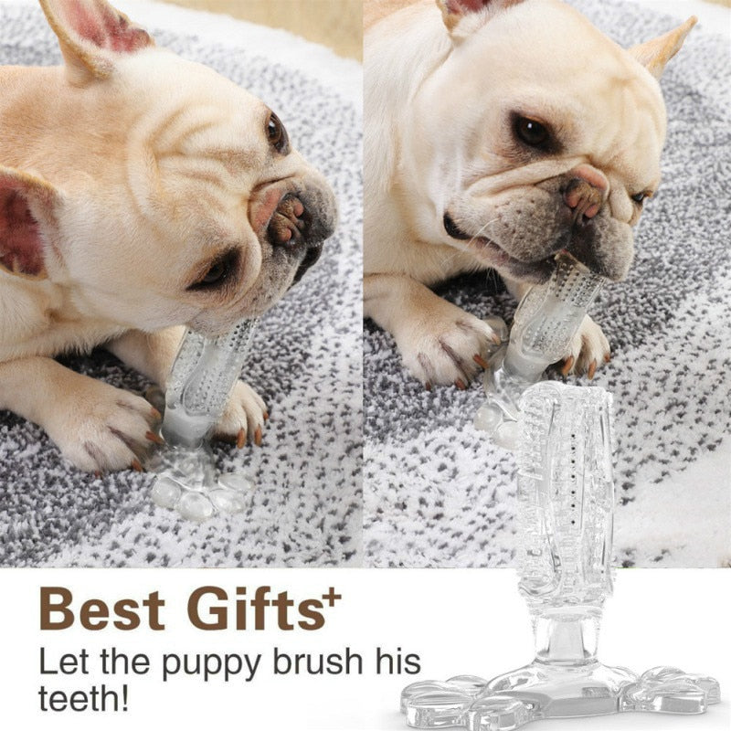 Tandrensare för husdjur Tuggleksak i naturgummi