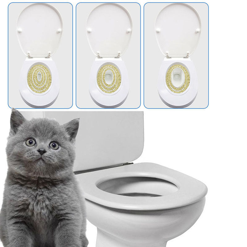 Katt Musklig Enkel Toalett Tränare