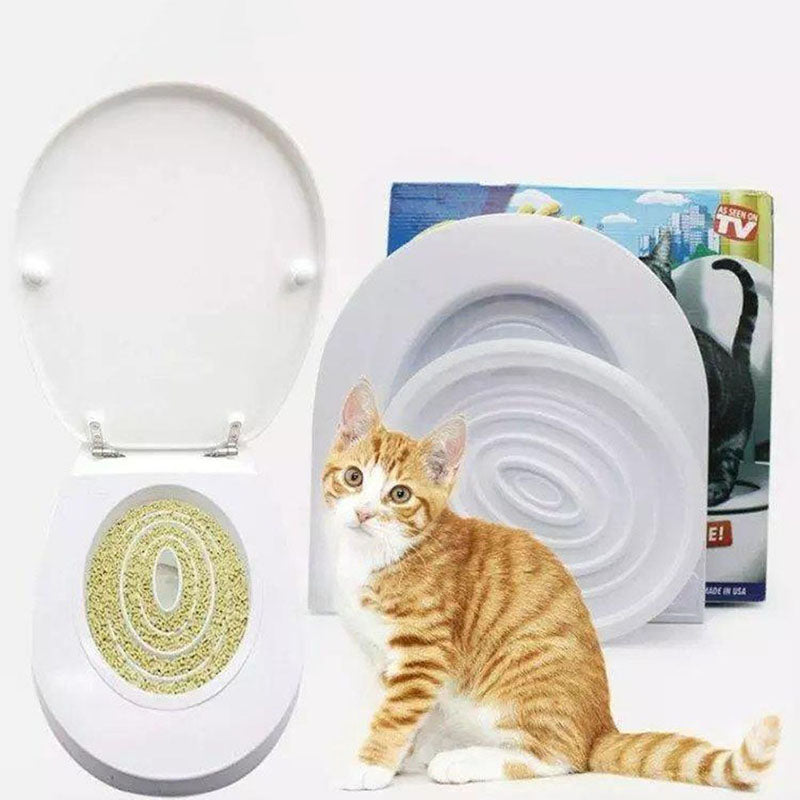 Katt Musklig Enkel Toalett Tränare