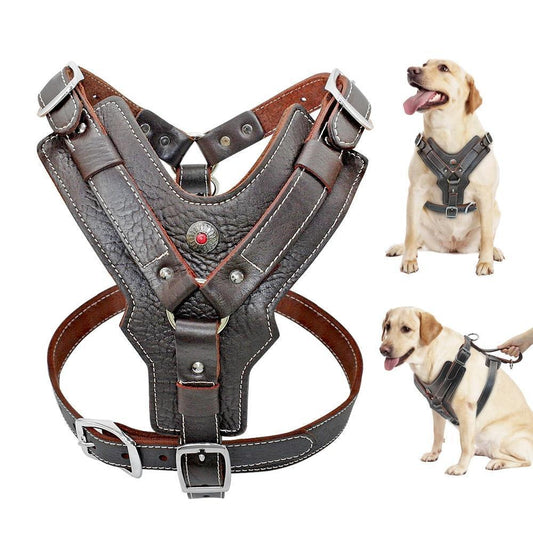Extra Stor Hundesele i Äkta Läder