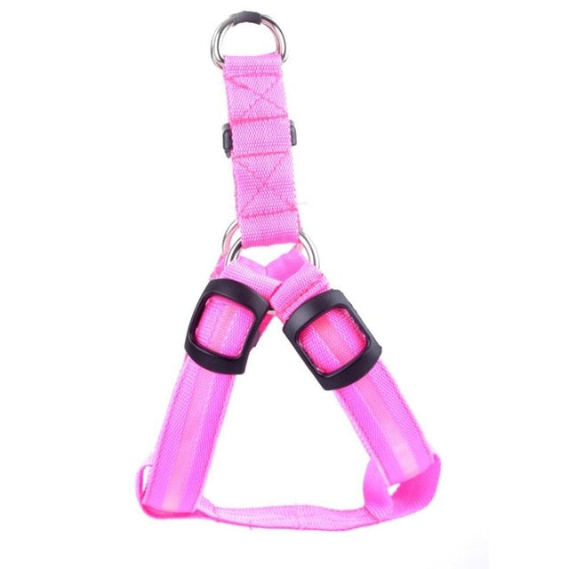 Hundesele med LED-lys - Glow & Go
