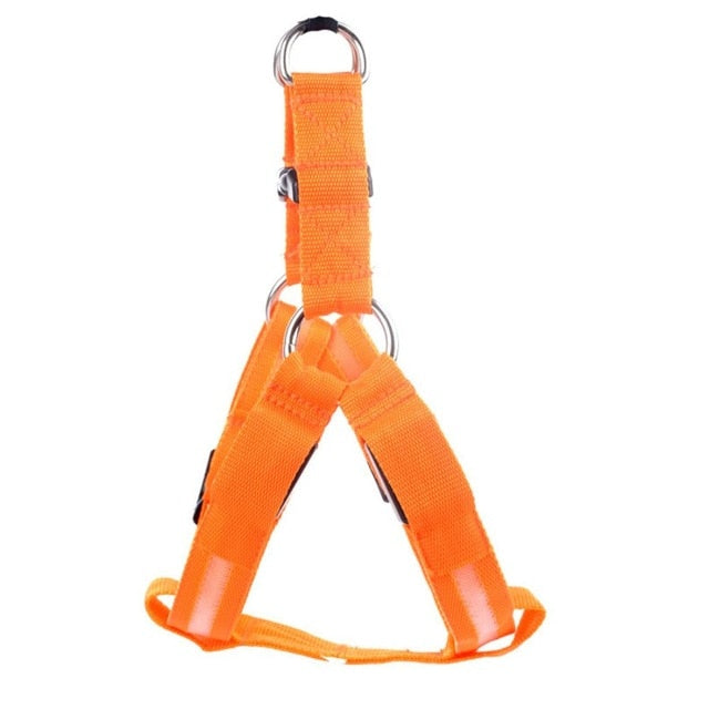 Hundesele med LED-lys - Glow & Go
