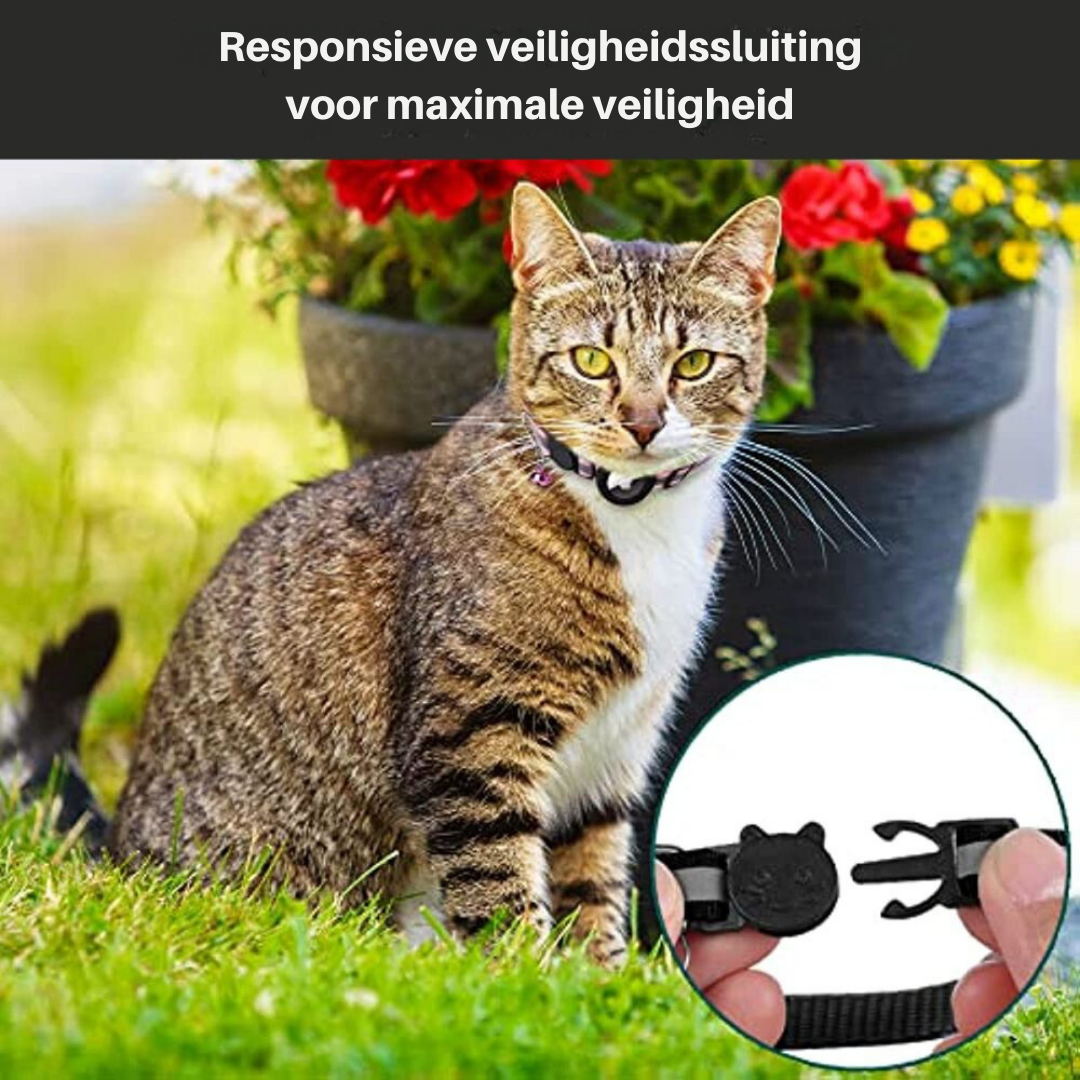 Reflekterende GPS-halsbånd til katte