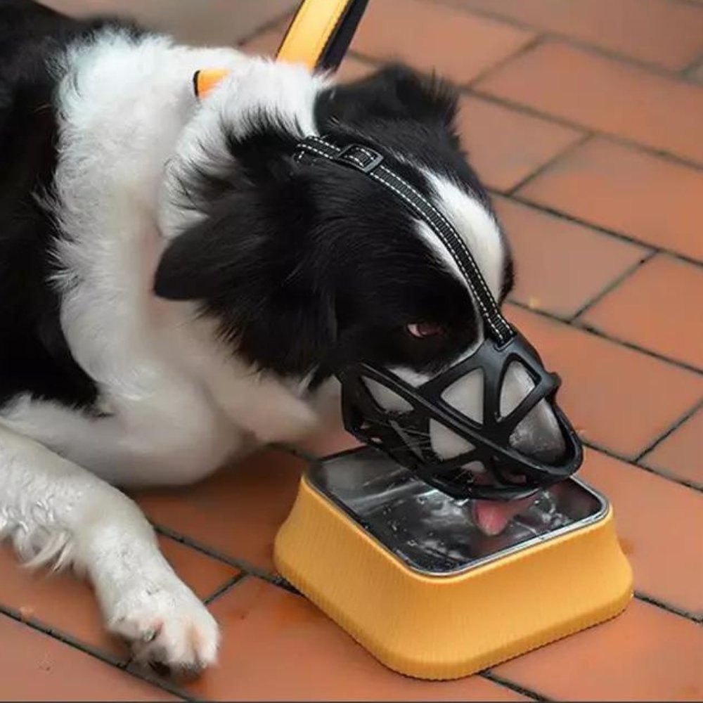 TrygTæmmer • Mundkurv til Hunde