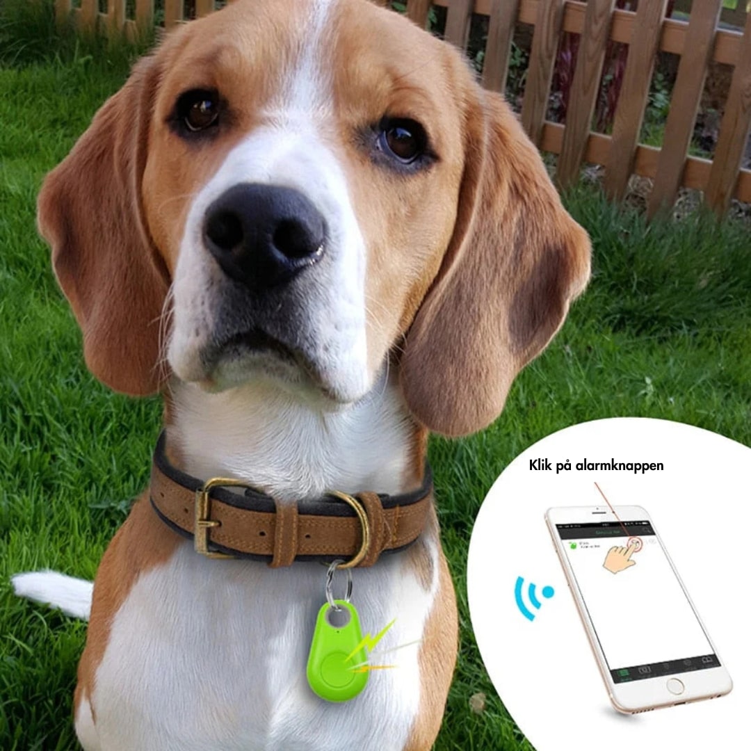 SikkerTrack | GPS Tracker för barn, husdjur och värdesaker