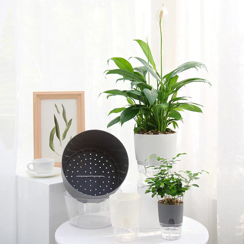 Selvvandende Blomsterkrukke – HydrationPro