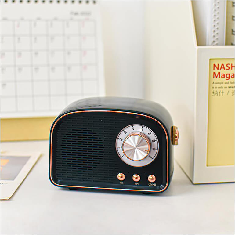 VintageLyric | Bärbar Bluetooth-högtalare med FM-radio